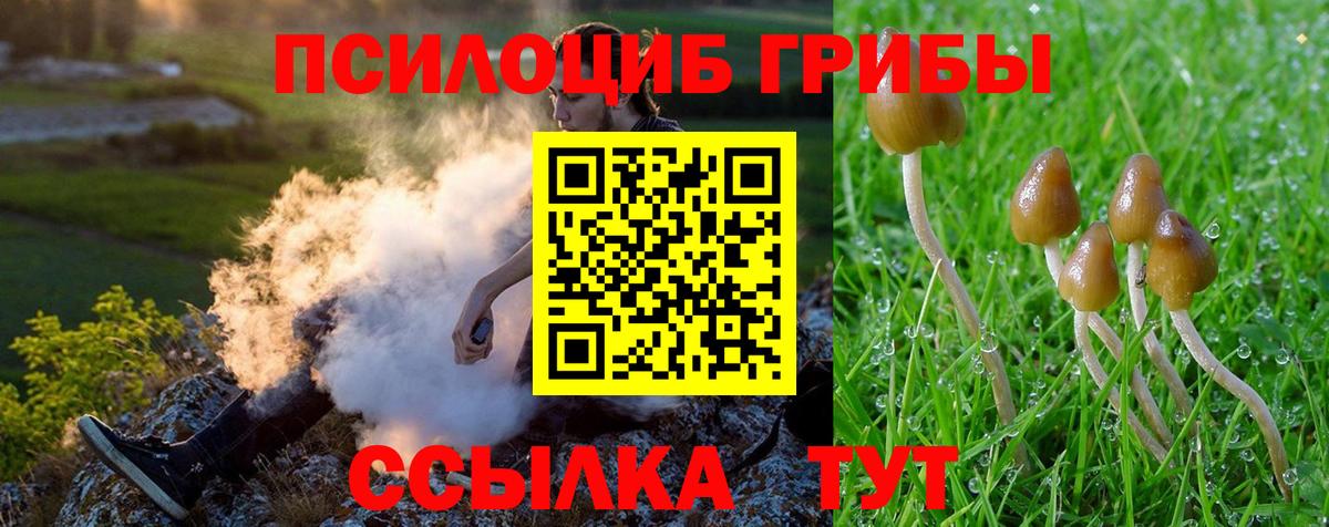 Псилоцибиновые грибы Psilocybe  Псилоцибиновые грибы мухоморы  Орехово-Зуево  Вход с VPN 